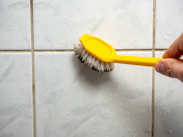 Best Toxic Mold Removal  in Tyro, NC