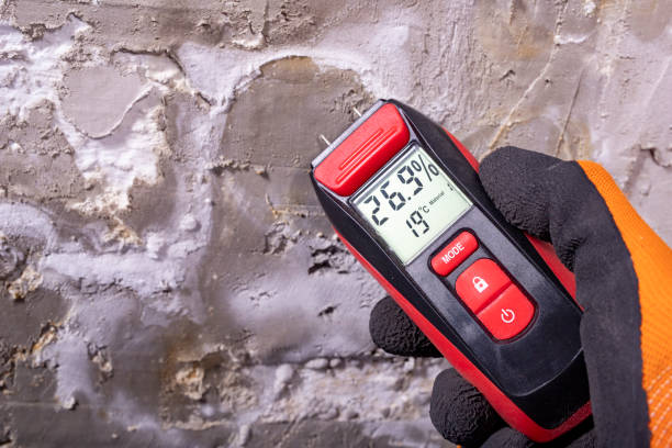 Best Professional Mold Removal  in Tyro, NC