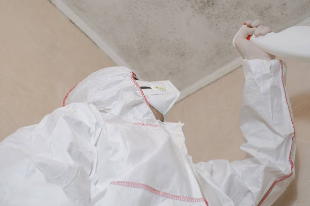 Best Emergency Mold Removal  in Tyro, NC