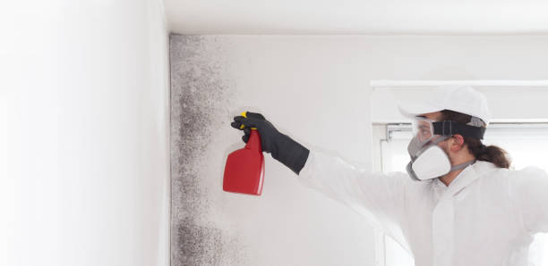 Tyro, NC Mold Removal Company